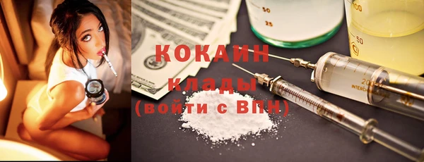 хмурый Белокуриха