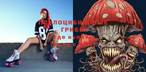 хмурый Белокуриха