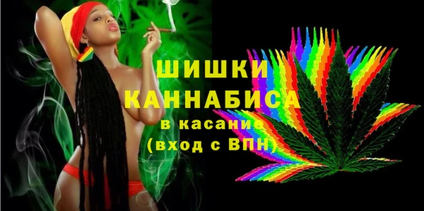 хмурый Белокуриха