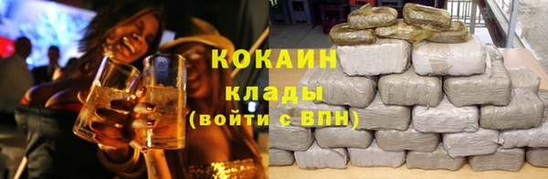 хмурый Белокуриха