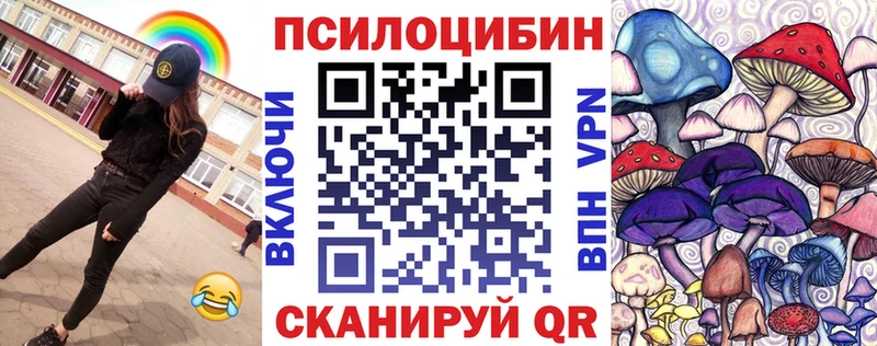 Псилоцибиновые грибы Cubensis  Курлово 