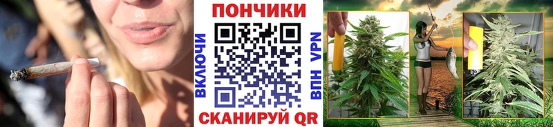 Каннабис семена  Курлово 